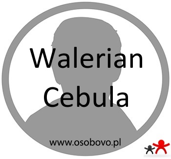 Konto Walerian Cebula Profil
