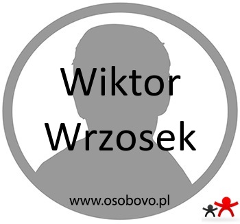 Konto Wiktor Wrzosek Profil